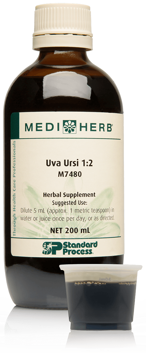 Standard Process - MediHerb Uva Ursi Liquid 6.8 fluid ounces